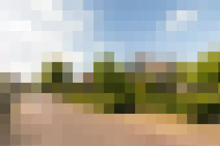 Skoallereed 1 Moddergat thumbnail 12