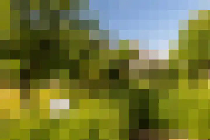 Skoallereed 1 Moddergat thumbnail 15