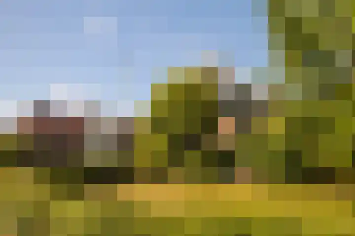 Skoallereed 1 Moddergat thumbnail 16
