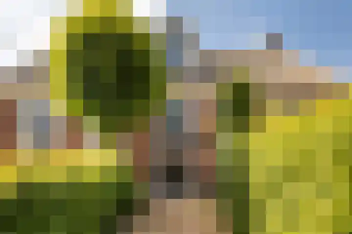 Skoallereed 1 Moddergat thumbnail 26