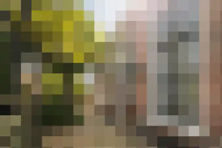 Skoallereed 1 Moddergat thumbnail 27