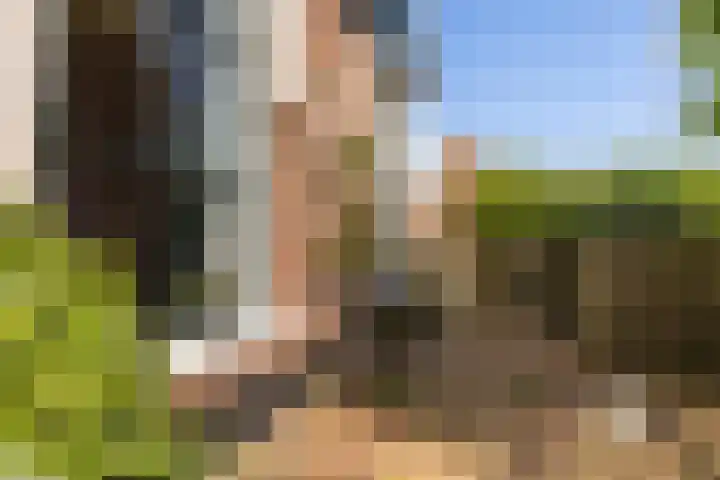 Skoallereed 1 Moddergat thumbnail 28