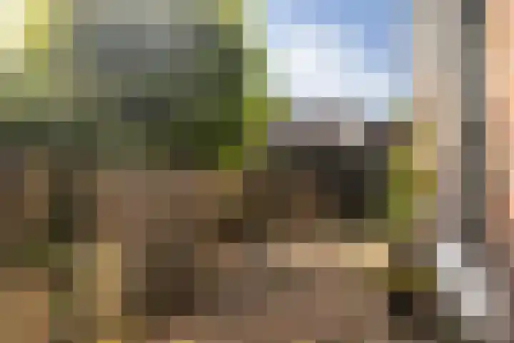 Skoallereed 1 Moddergat thumbnail 29