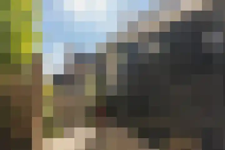 Skoallereed 1 Moddergat thumbnail 31