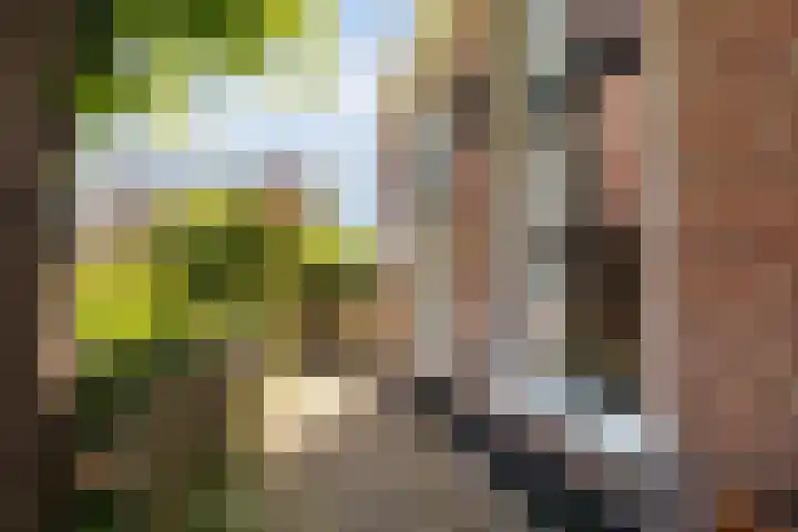 Skoallereed 1 Moddergat thumbnail 32