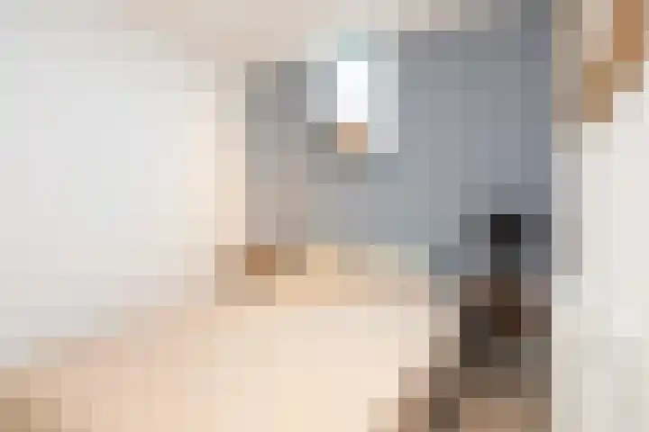 Skoallereed 1 Moddergat thumbnail 34