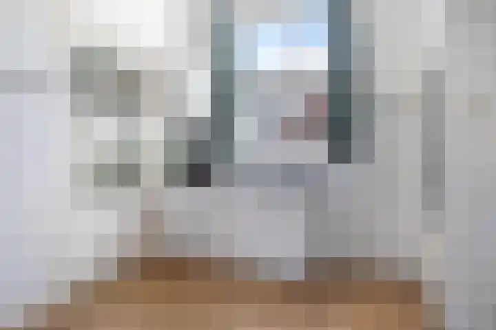 Skoallereed 1 Moddergat thumbnail 4