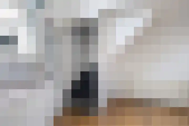 Skoallereed 1 Moddergat thumbnail 46