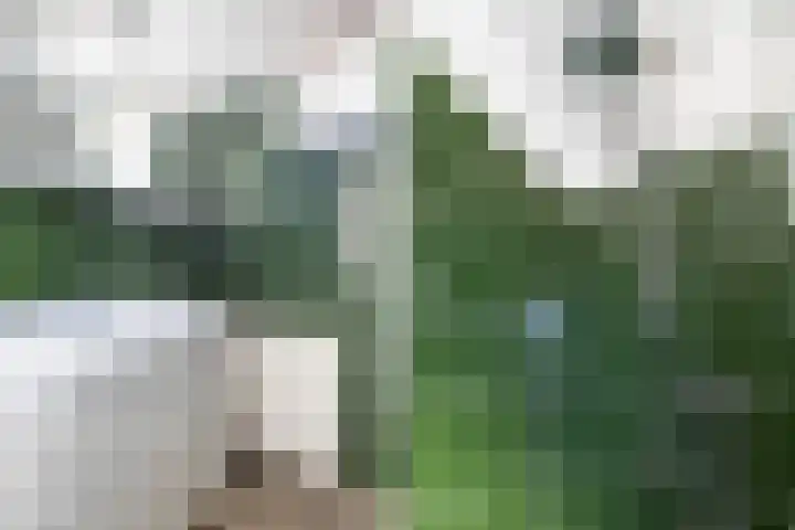 Skoallereed 1 Moddergat thumbnail 5