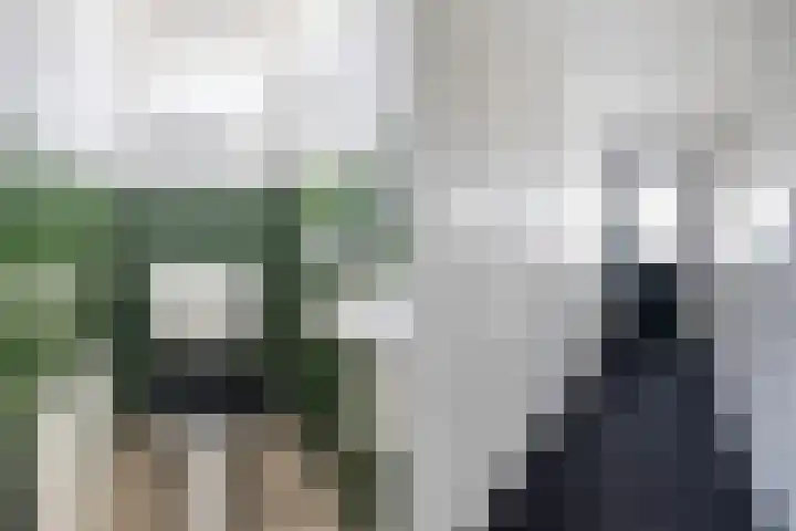 Skoallereed 1 Moddergat thumbnail 50