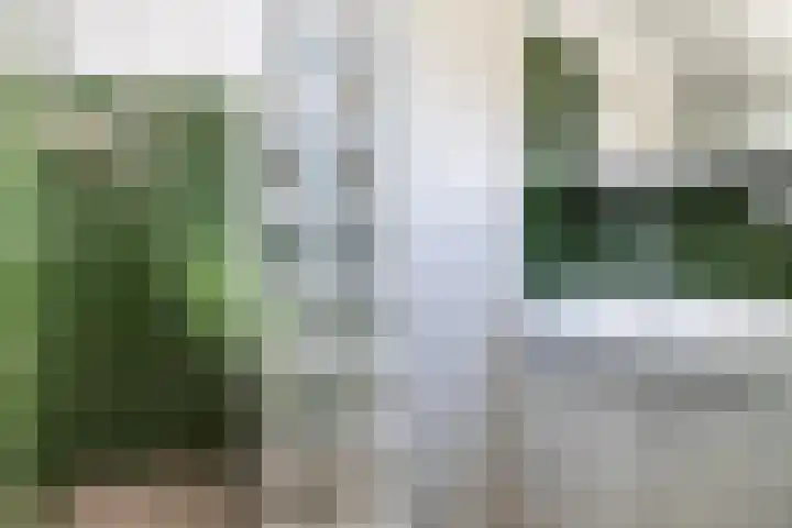 Skoallereed 1 Moddergat thumbnail 51