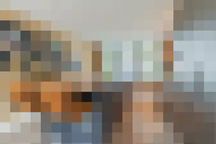 Skoallereed 1 Moddergat thumbnail 52