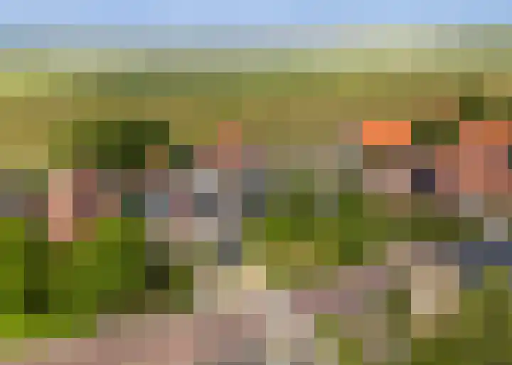 Skoallereed 1 Moddergat thumbnail 6