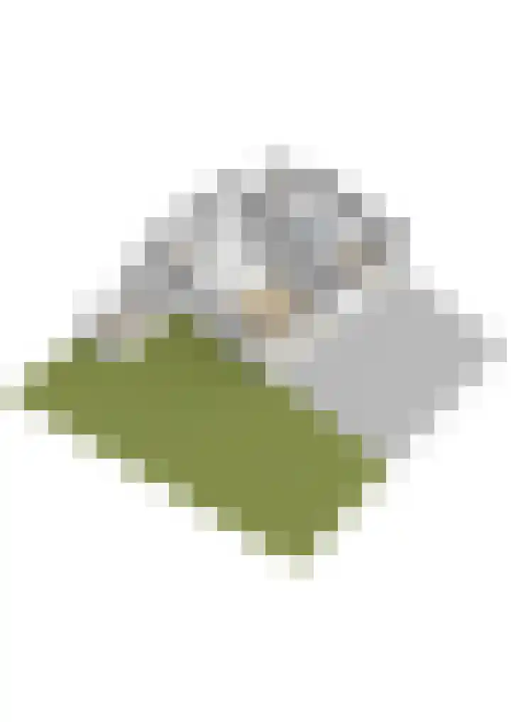 Skoallereed 1 Moddergat thumbnail 65