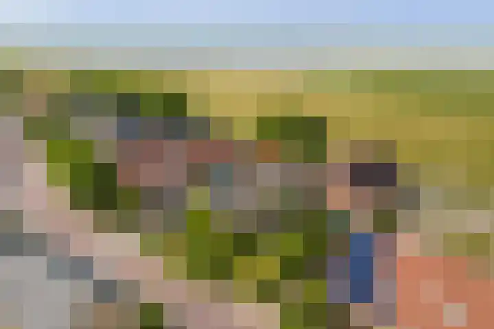 Skoallereed 1 Moddergat thumbnail 70