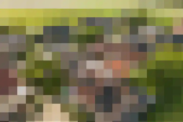 Skoallereed 1 Moddergat thumbnail 8