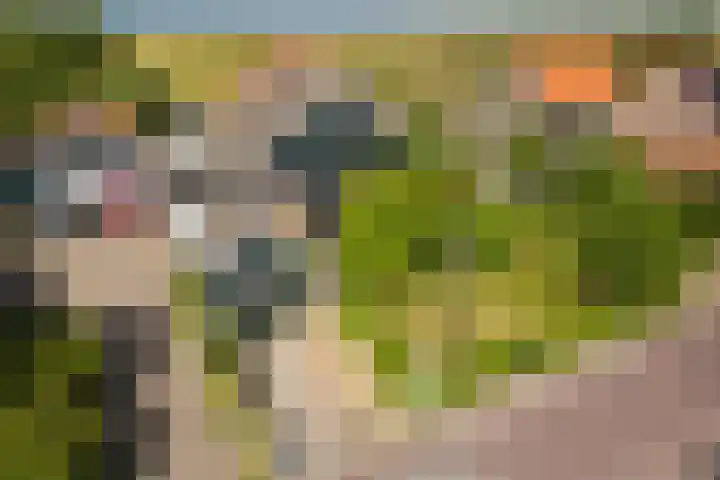 Skoallereed 1 Moddergat thumbnail 9