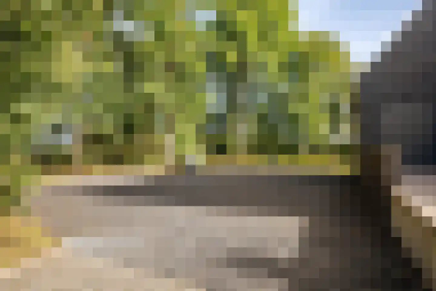 Skoallereed 16 Oudega thumbnail 10