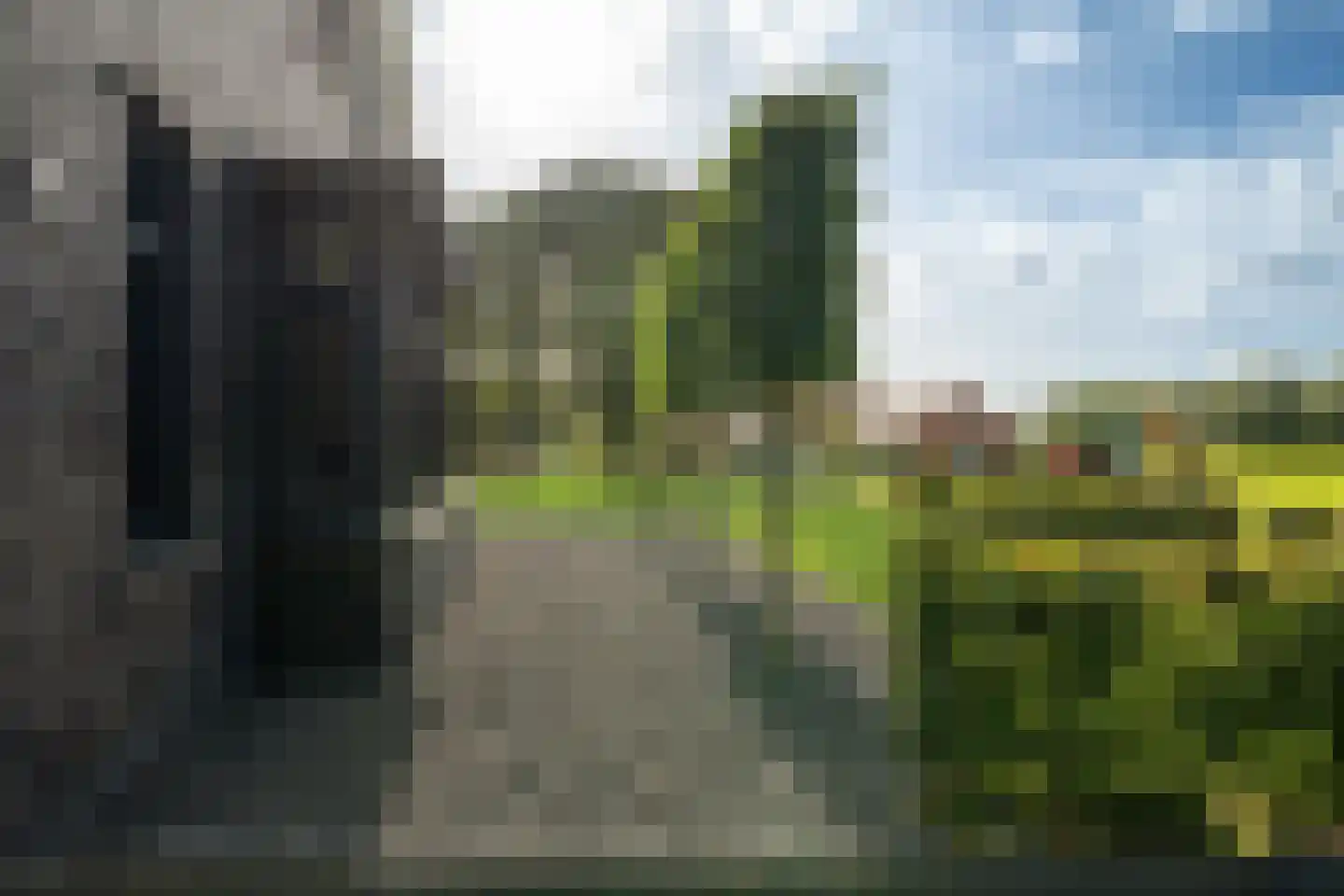 Skoallereed 16 Oudega thumbnail 14