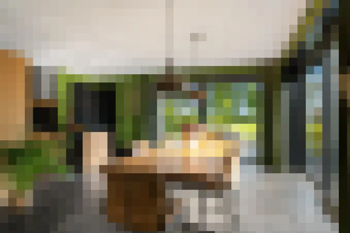 Skoallereed 16 Oudega thumbnail 18