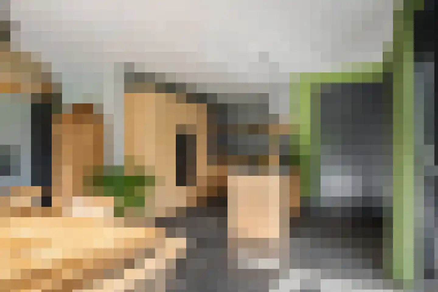 Skoallereed 16 Oudega thumbnail 21