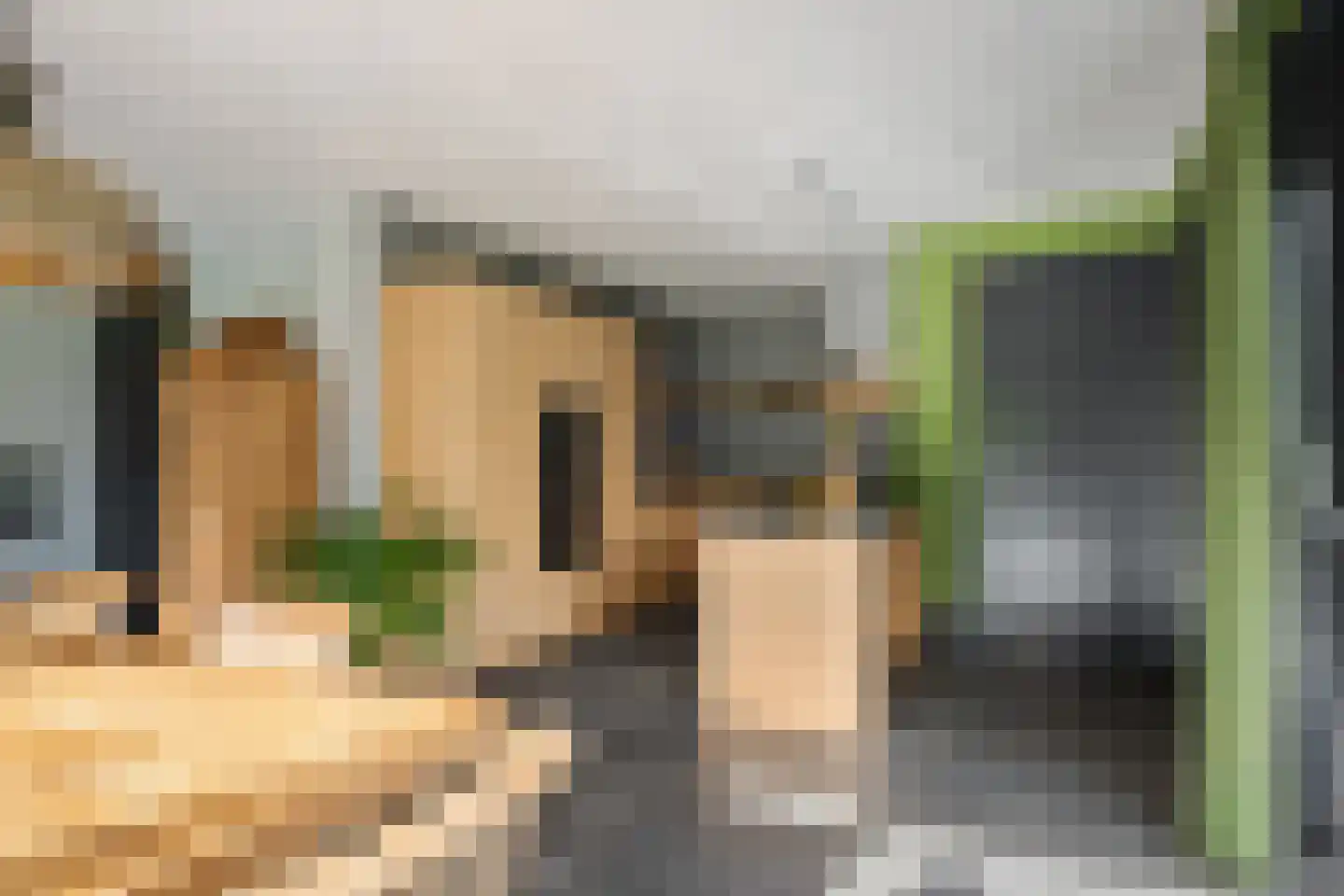 Skoallereed 16 Oudega thumbnail 22