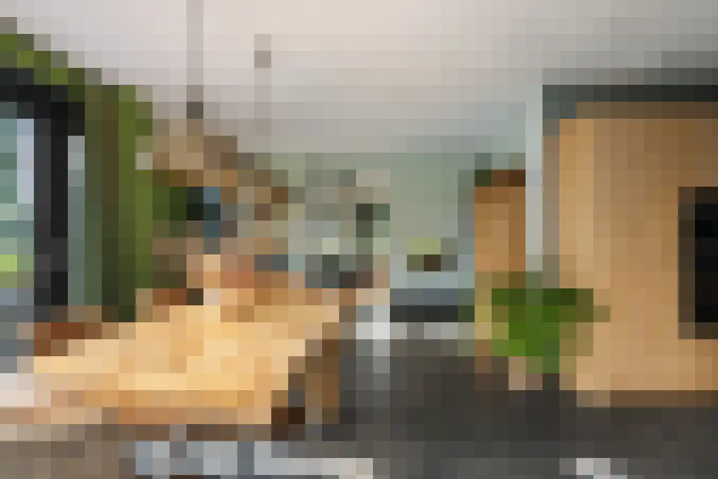 Skoallereed 16 Oudega thumbnail 22