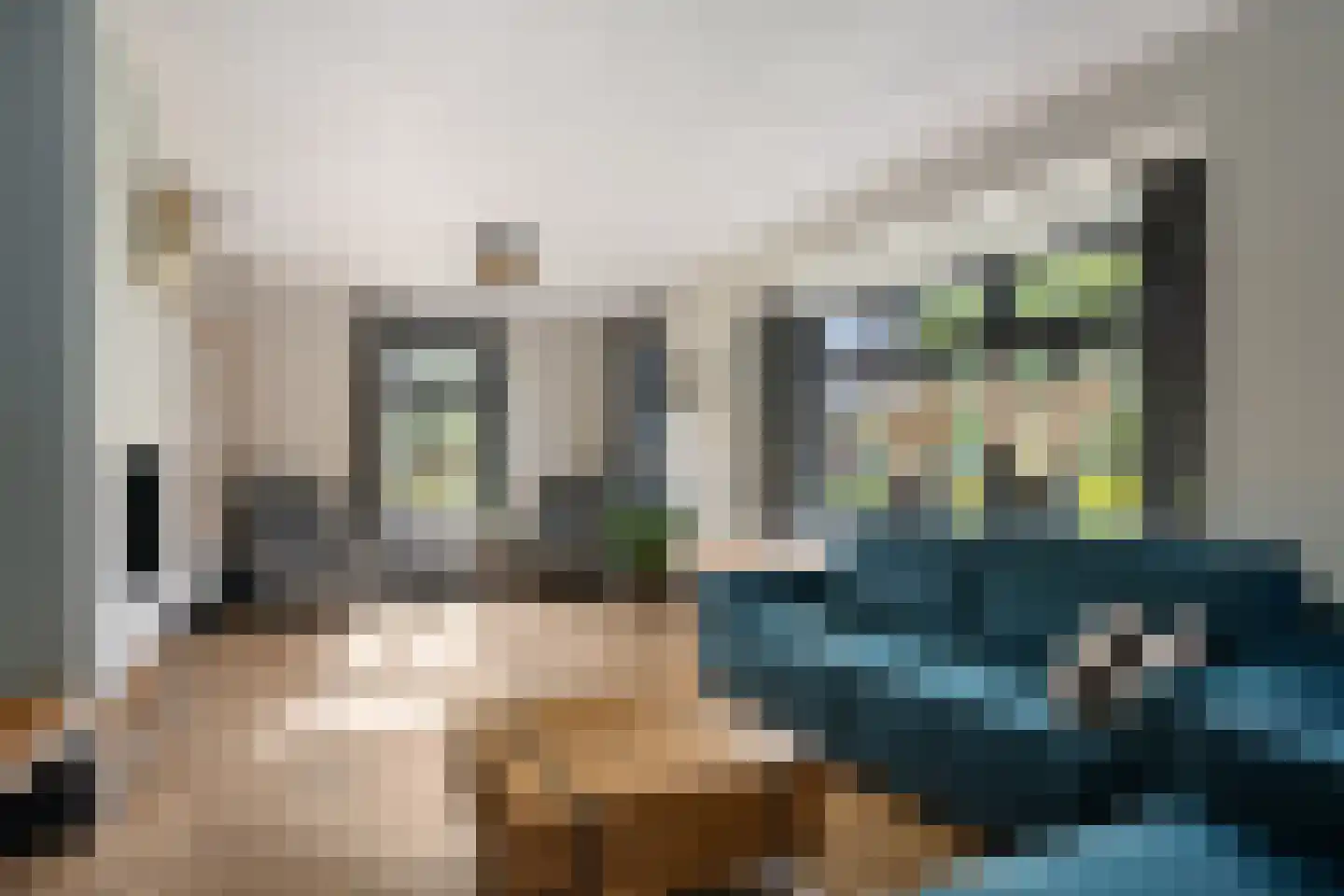 Skoallereed 16 Oudega thumbnail 27