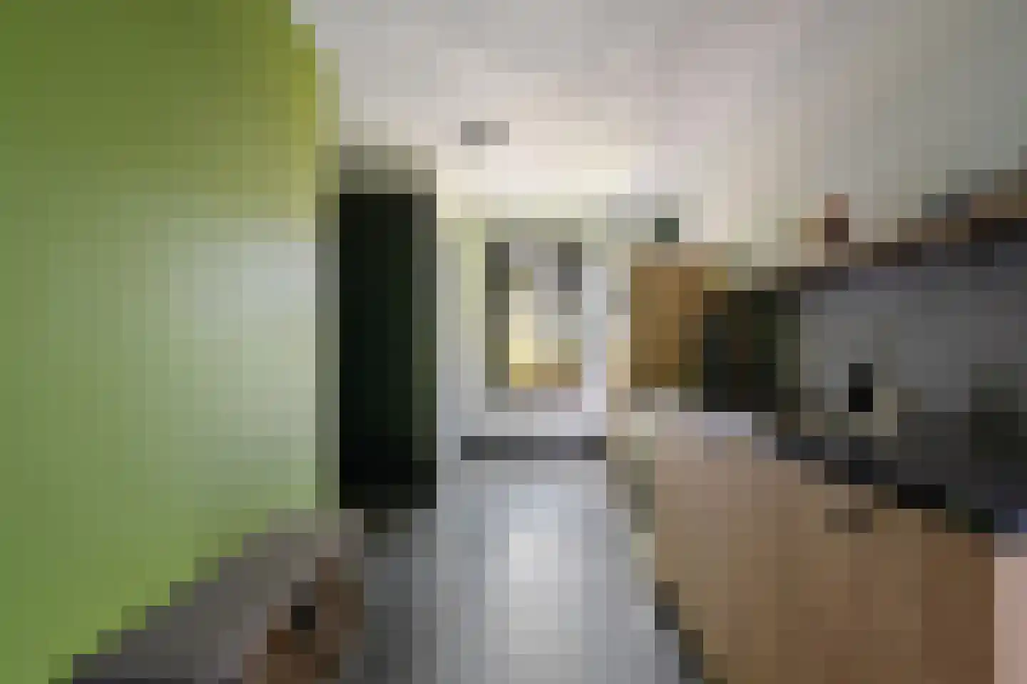 Skoallereed 16 Oudega thumbnail 29