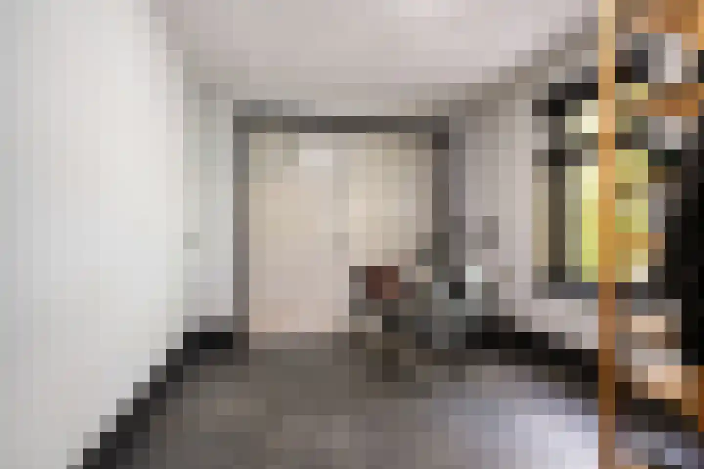 Skoallereed 16 Oudega thumbnail 32