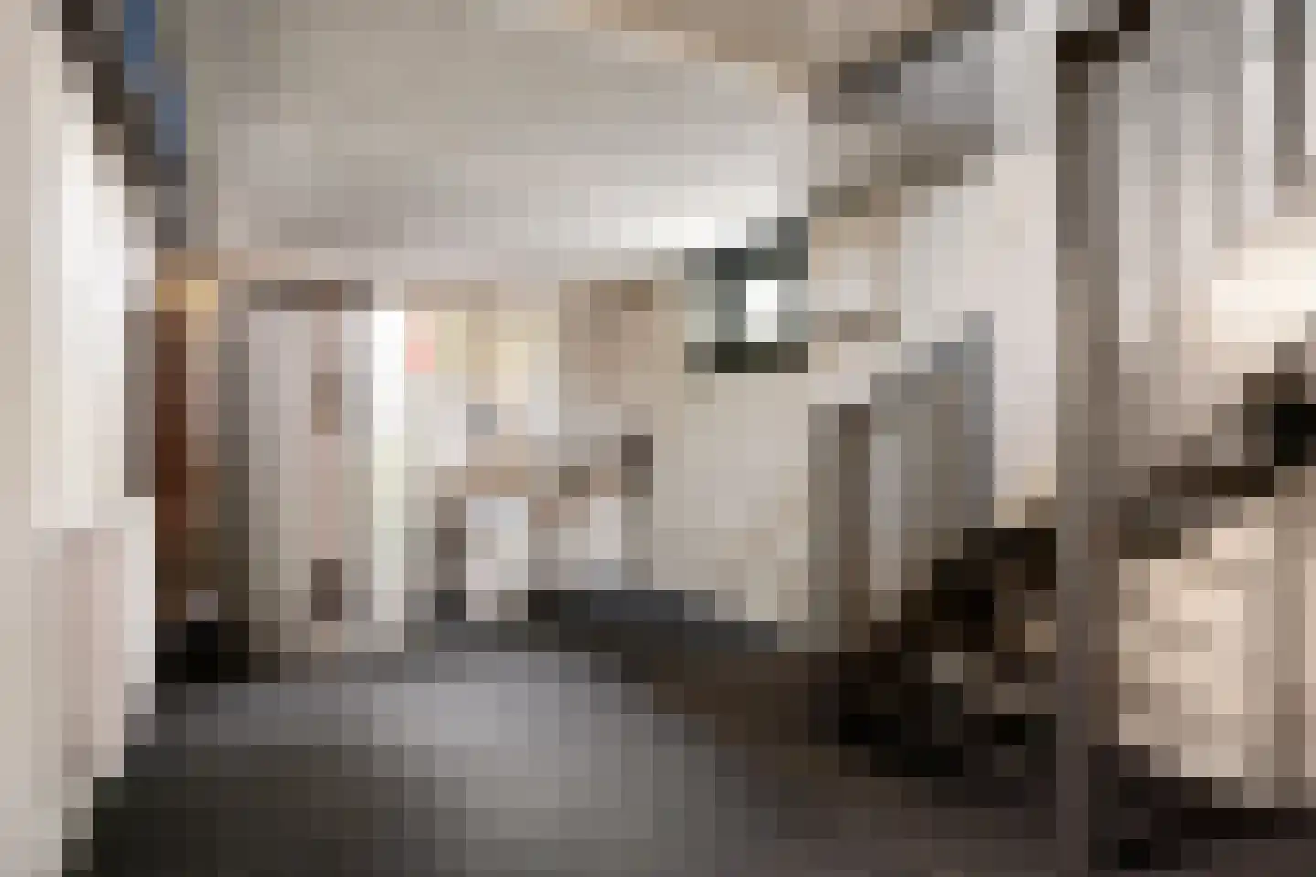 Skoallereed 16 Oudega thumbnail 33