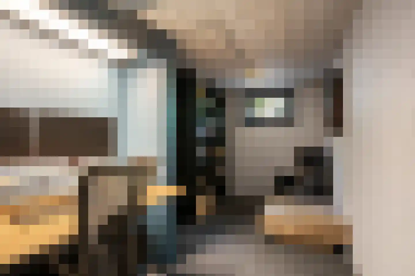 Skoallereed 16 Oudega thumbnail 39