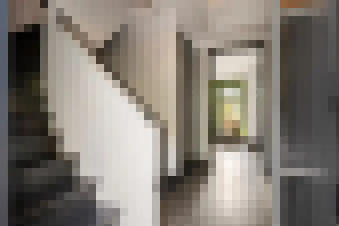 Skoallereed 16 Oudega thumbnail 39