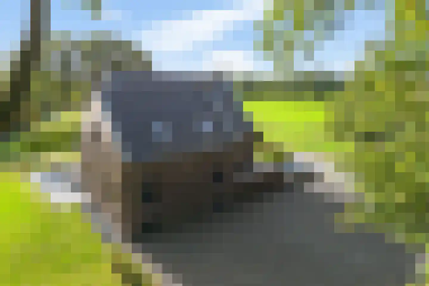Skoallereed 16 Oudega thumbnail 4