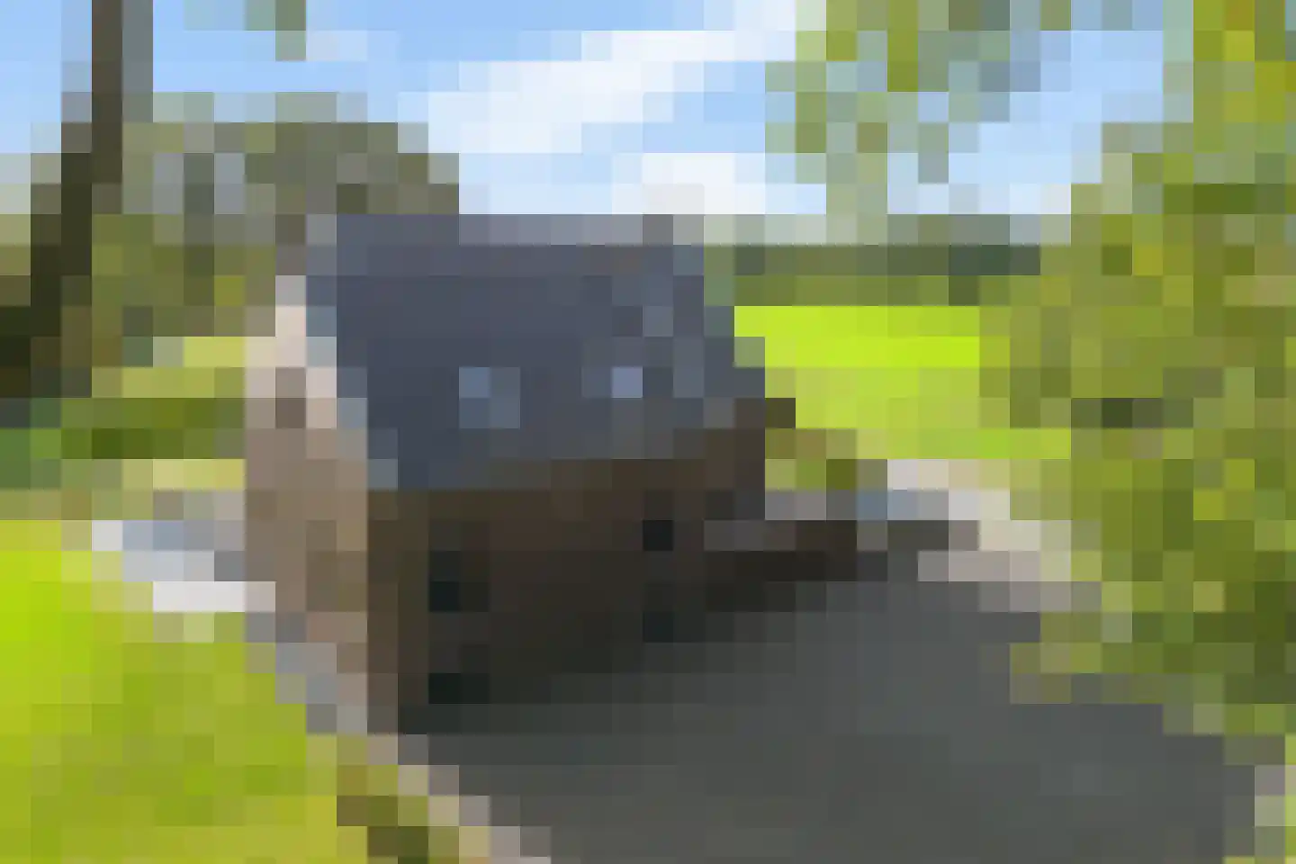 Skoallereed 16 Oudega thumbnail 5