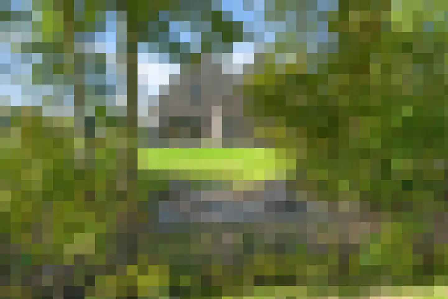 Skoallereed 16 Oudega thumbnail 55