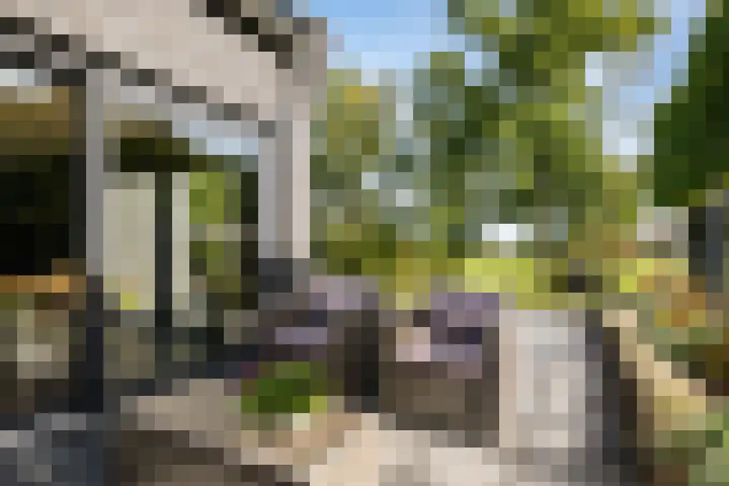 Skoallereed 16 Oudega thumbnail 56