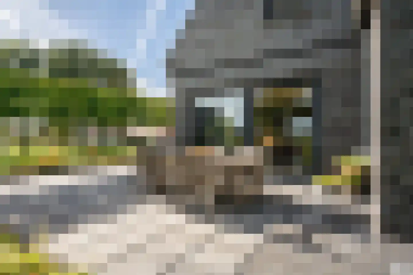 Skoallereed 16 Oudega thumbnail 56