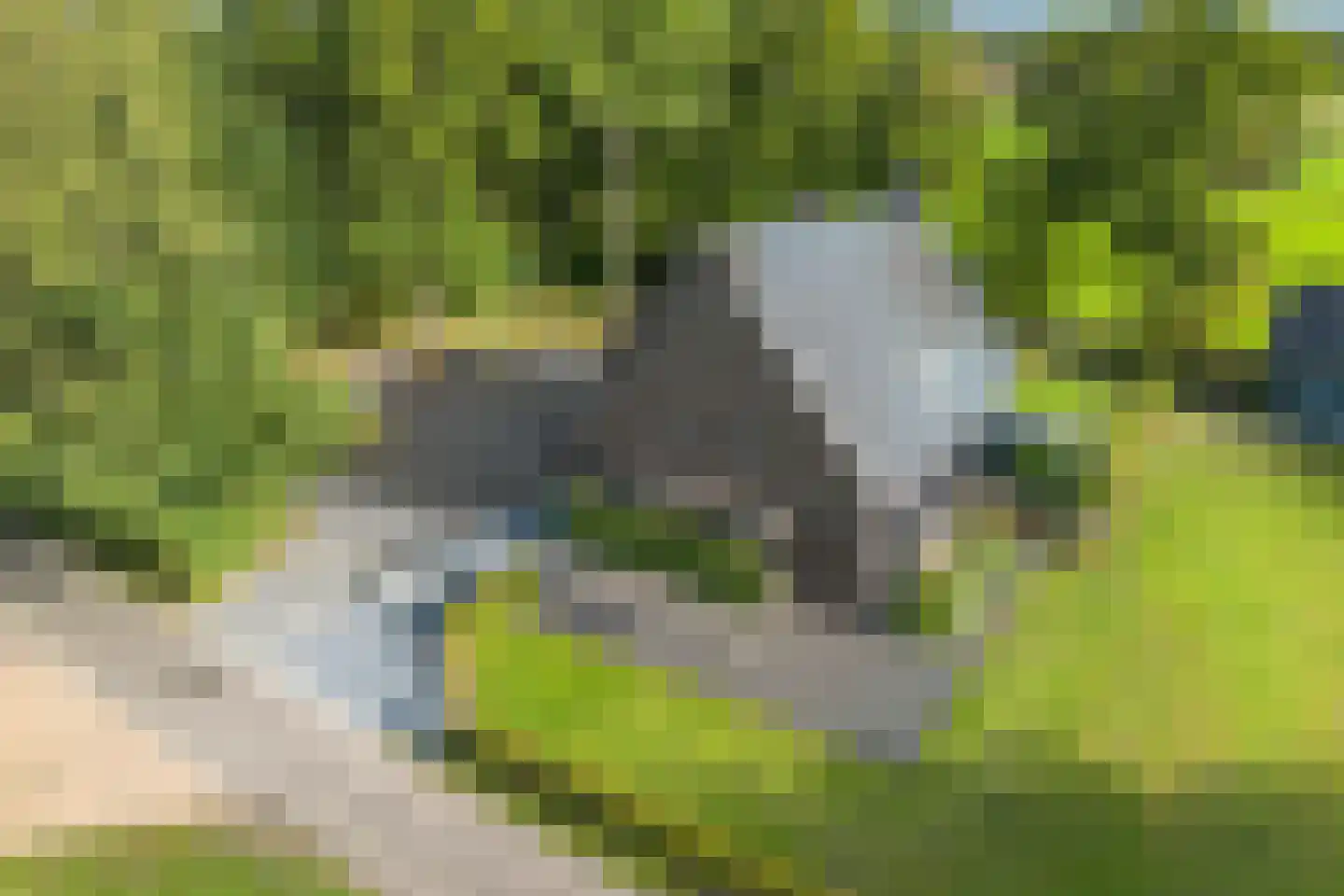Skoallereed 16 Oudega thumbnail 9