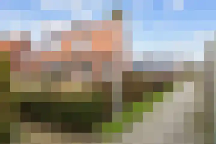 Skoallestrjitte 11 Raerd