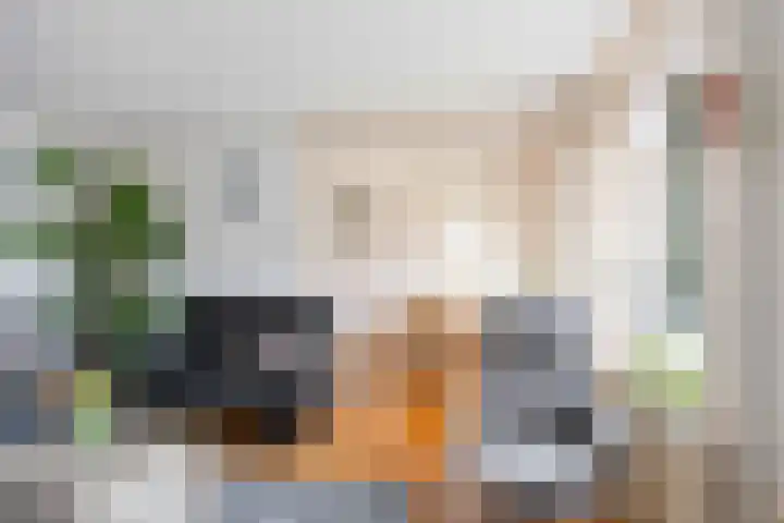 Skoallestrjitte 11 Raerd thumbnail 13