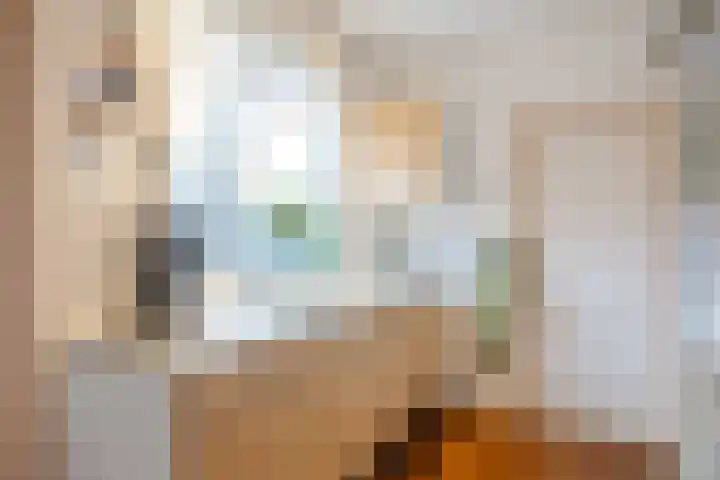 Skoallestrjitte 11 Raerd thumbnail 17
