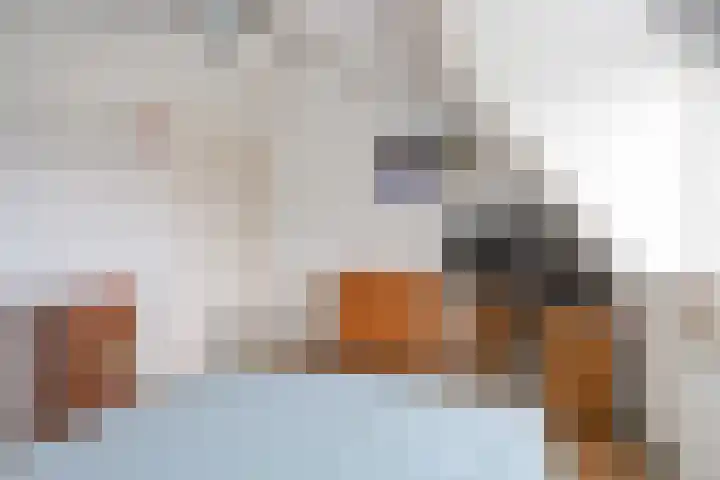 Skoallestrjitte 11 Raerd thumbnail 23