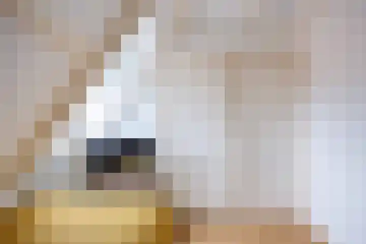 Skoallestrjitte 11 Raerd thumbnail 25