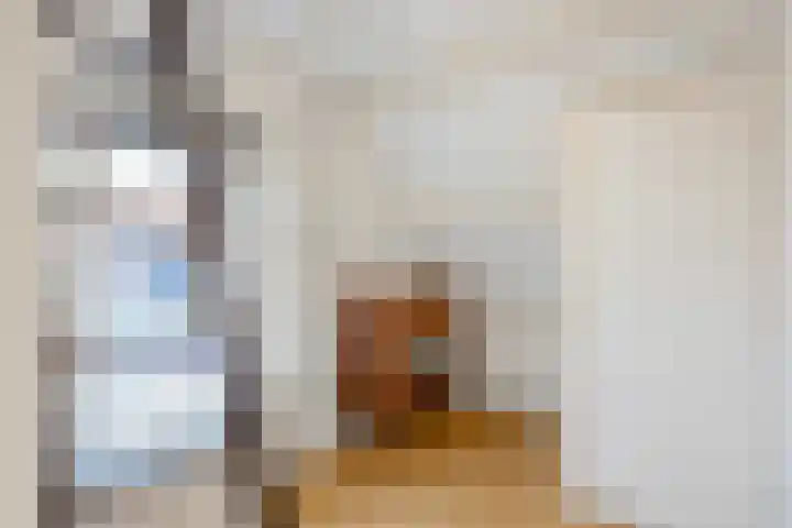 Skoallestrjitte 11 Raerd thumbnail 28