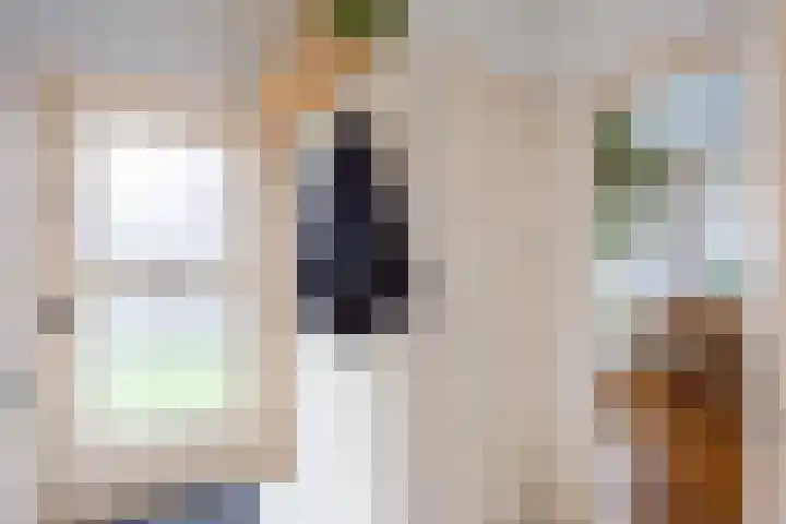 Skoallestrjitte 11 Raerd thumbnail 4