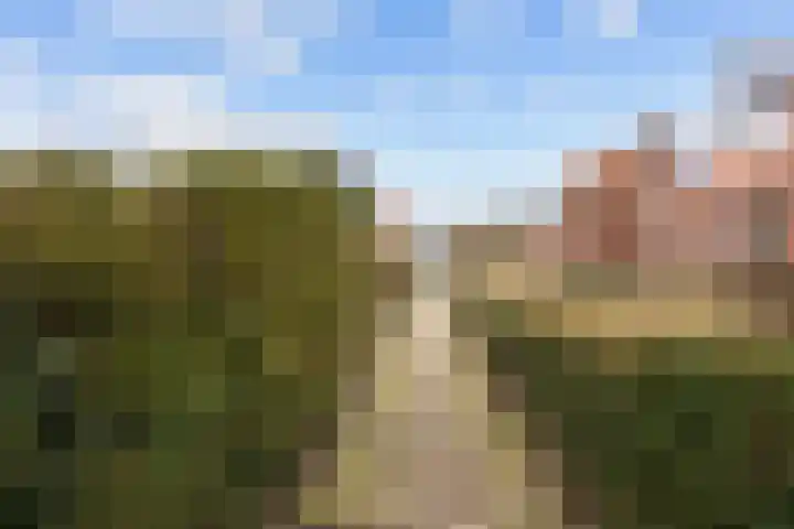 Skoallestrjitte 11 Raerd thumbnail 40