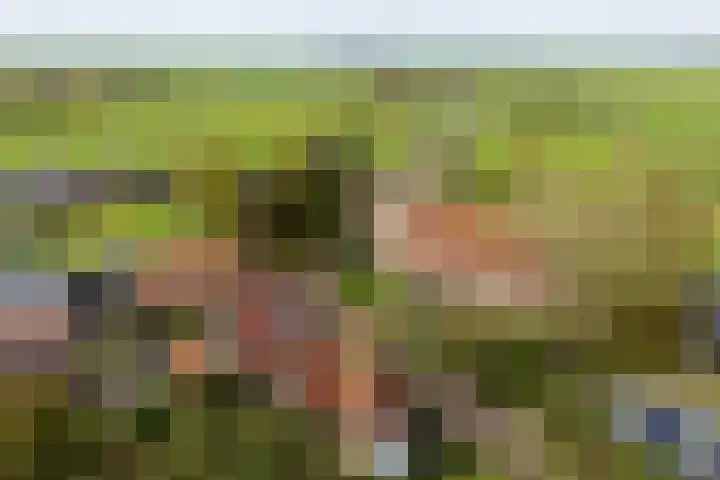Skoallestrjitte 2 Eastrum thumbnail 10