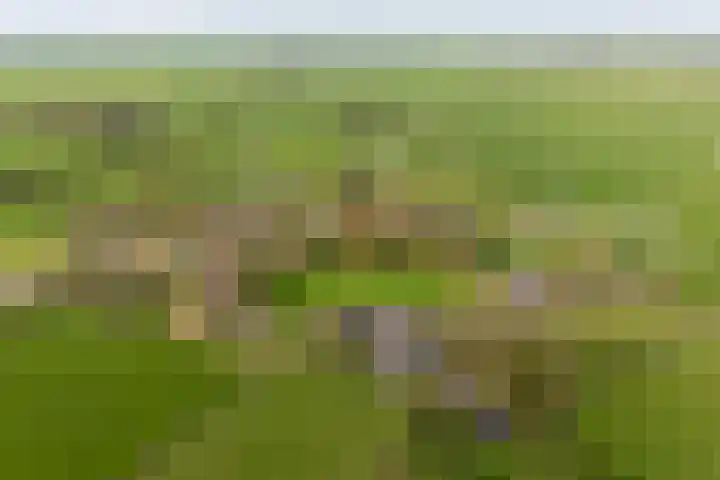 Skoallestrjitte 2 Eastrum thumbnail 11