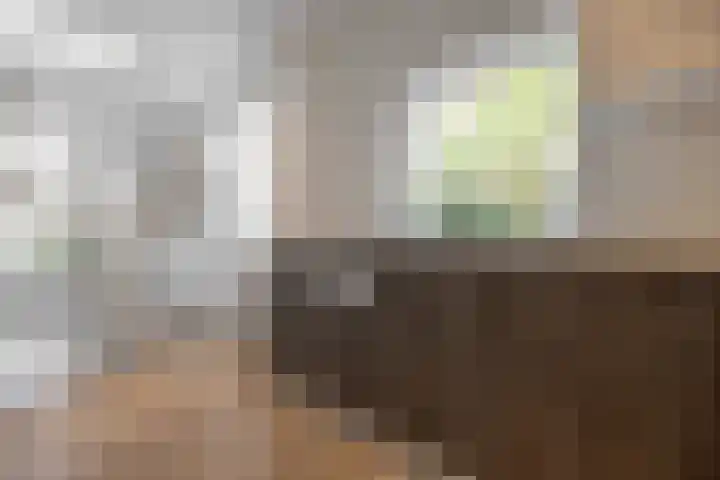 Skoallestrjitte 2 Eastrum thumbnail 20